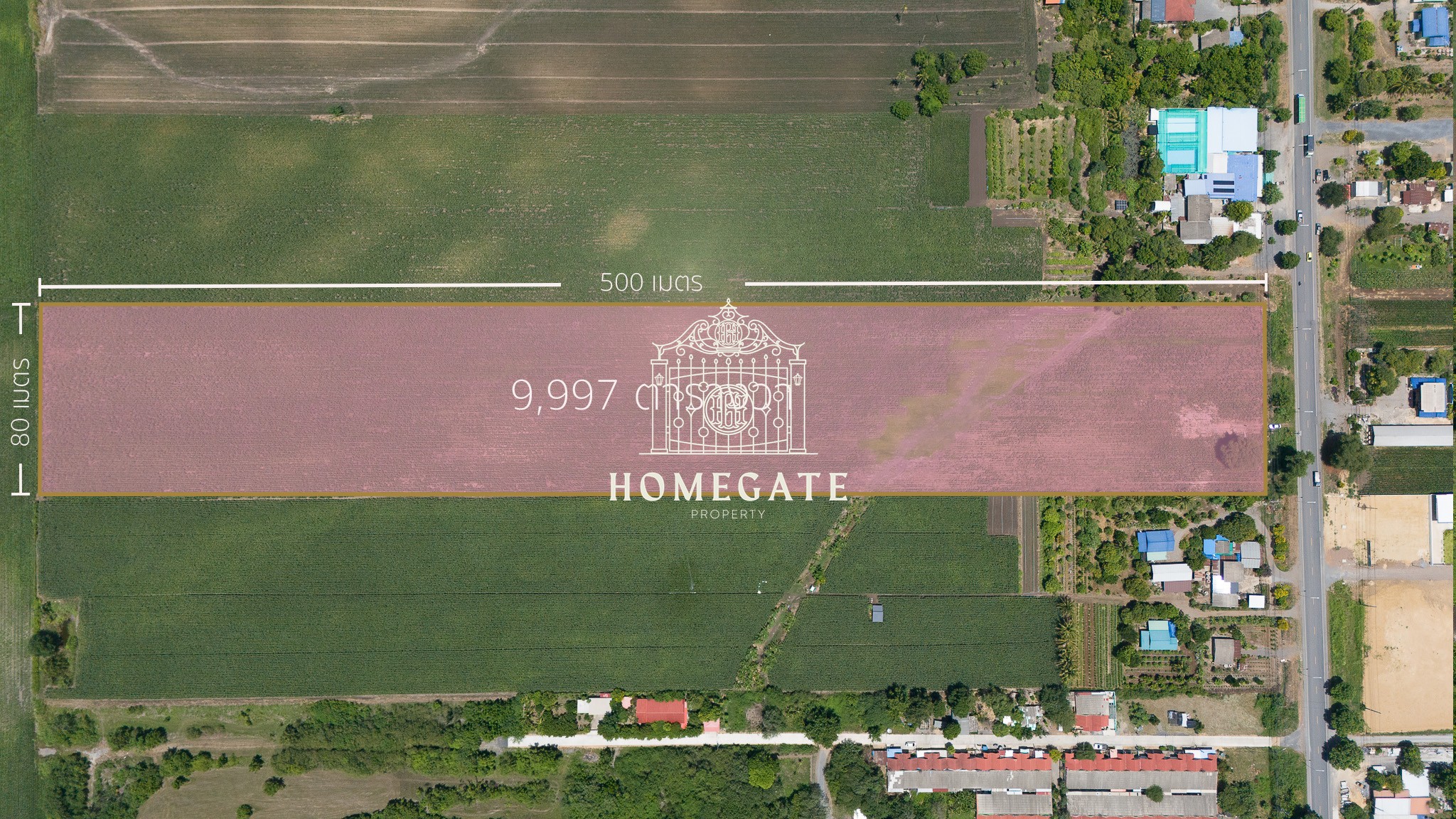 ที่ดินสระบุรี 25 ไร่ image 3